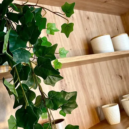 Aleksic Apartment Zlatibor