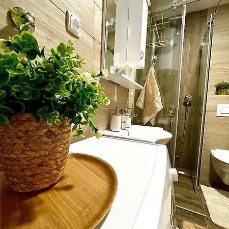 Apartment Aleksic *