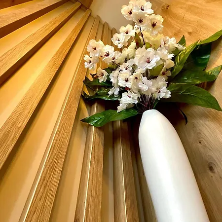 Апартаменты Aleksic *