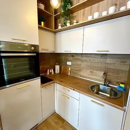 Aleksic Apartment Zlatibor