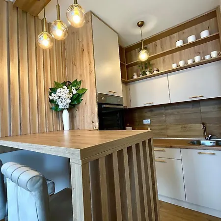 Apartment Aleksic *
