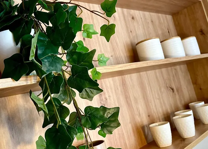 Aleksic Apartman Zlatibor