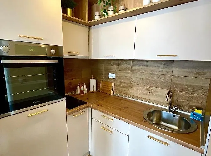 Aleksic Apartman Zlatibor